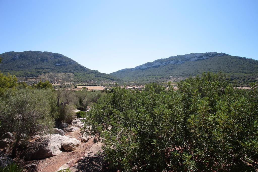 Ca'S Garriguer Villa Valldemossa  Exterior photo